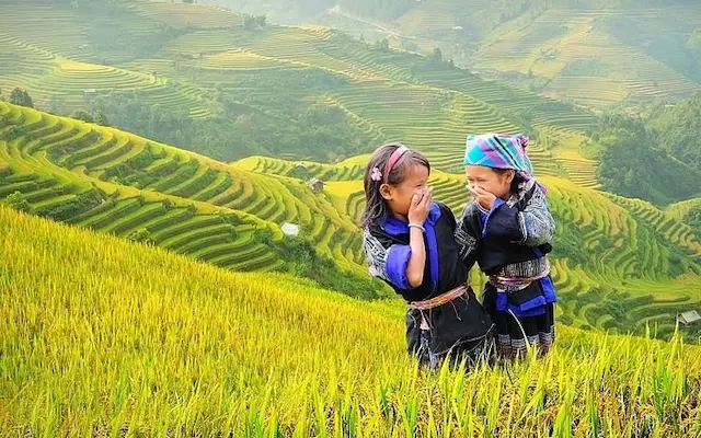 TOUR DU LỊCH HÀ NỘI - HỒ THÁC BÀ - MÙ CĂNG CHẢI - TÚ LỆ - NGHĨA LỘ 2N1Đ