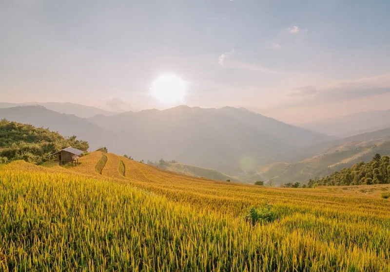 Tour Du Lịch HÀ NỘI -YÊN BÁI- SUỐI GIÀNG - NGHĨA LỘ - TRẠM TẤU 3N2D