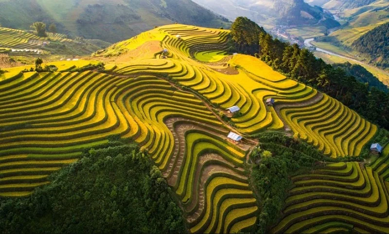 Tour Du Lịch HÀ NỘI -YÊN BÁI- SUỐI GIÀNG - NGHĨA LỘ - TRẠM TẤU - MCC 3N2Đ
