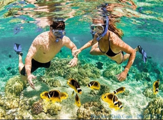 TOUR DU LỊCH YÊN BÁI - ĐÀ LẠT - NHA TRANG 4N3Đ
